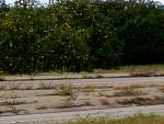 HPIM0284.JPG