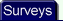Take Surveys for Money