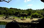 2003july17.jpg