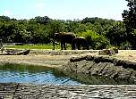 2003july18.jpg